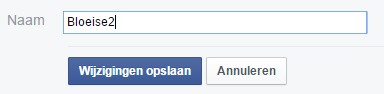 Facebook paginatitel veranderen met minder dan 200 likes