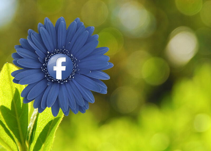 Facebook Flower door MKH Marketing