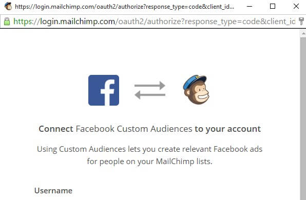 Facebook Ads Aangepaste doelgroep aanmaken door klantenlijst MailChimp te importeren