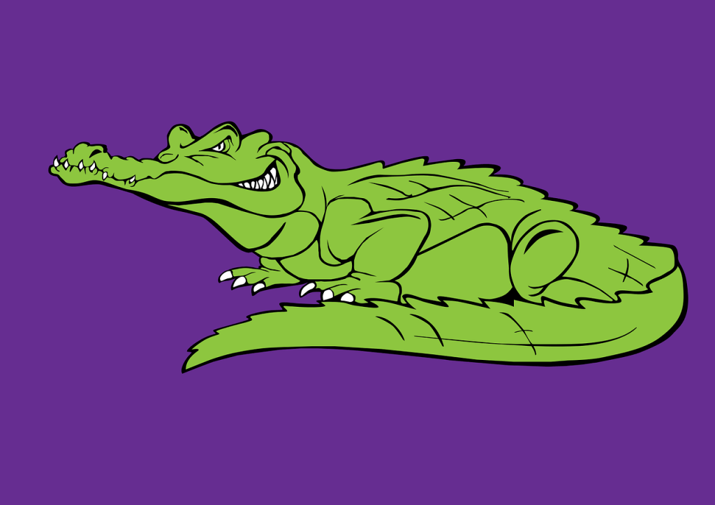 Klantgerichtheid - paarse krokodil