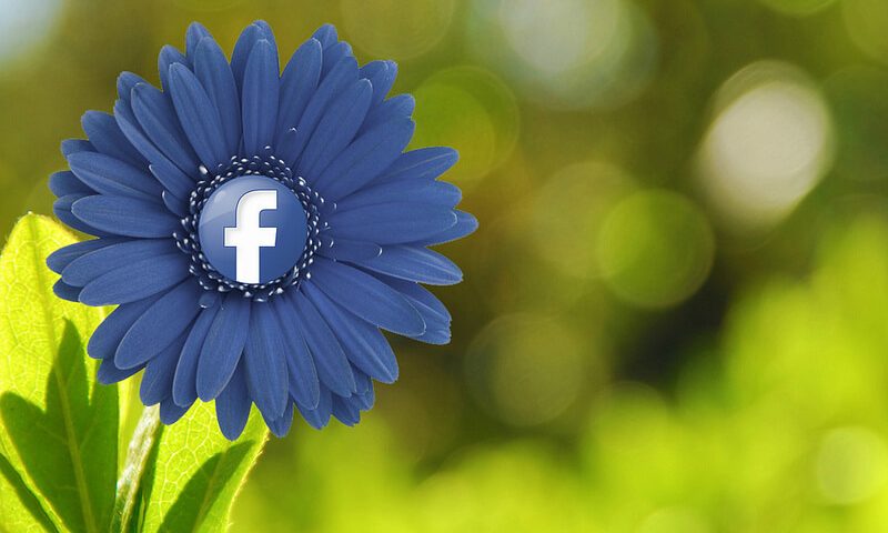 Blauwe bloem met Facebooklogo op groene achtergrond