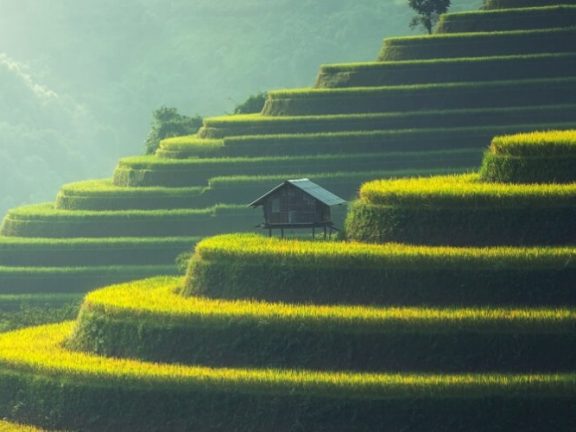 rijstvelden op heuvels en huisje