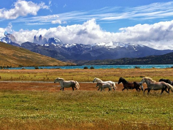Leren van Patagonia: hoe duur is duurzaamheid? 