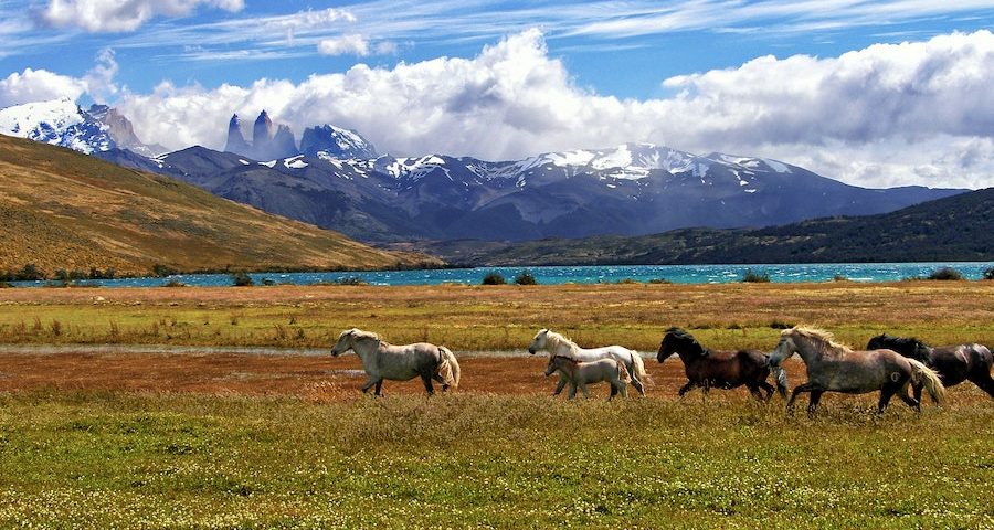Leren van Patagonia: hoe duur is duurzaamheid? 