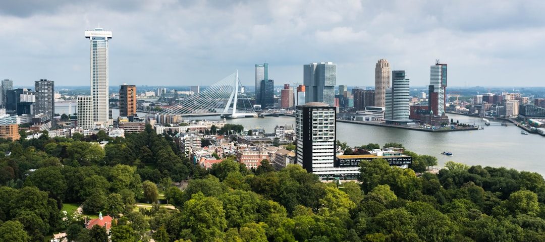 Photo Businesses in Netherlands: Infographic