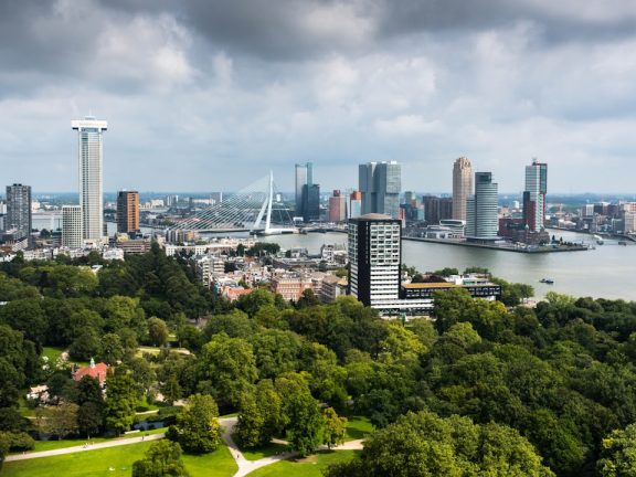 Photo Businesses in Netherlands: Infographic
