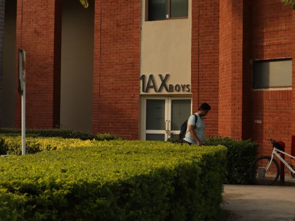 Photo Tax collector