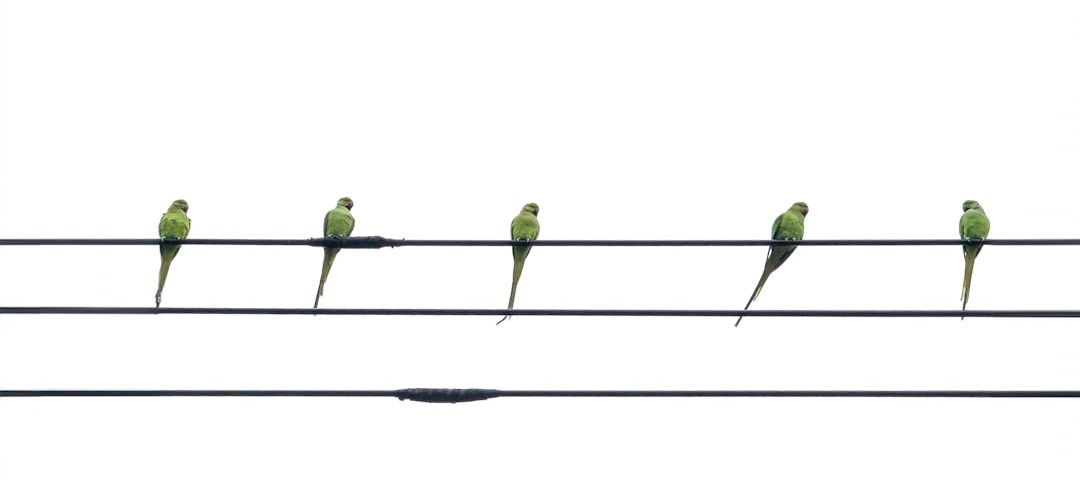 Photo Line graph