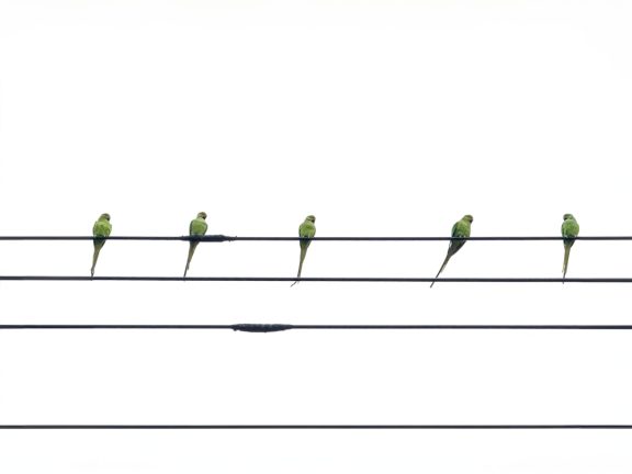 Photo Line graph