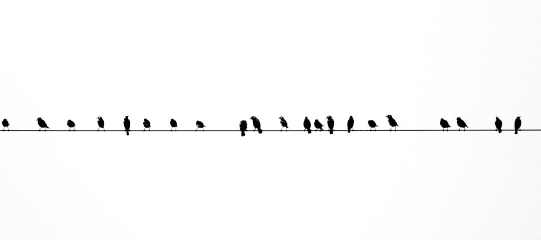 Photo Bar graph