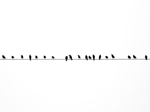 Photo Bar graph