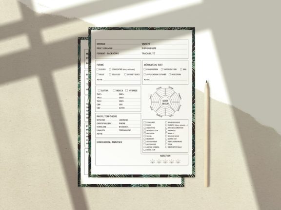 Photo Tax form
