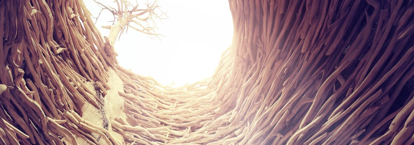 rabbit in the deep hole