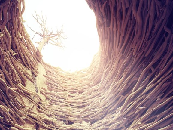 rabbit in the deep hole