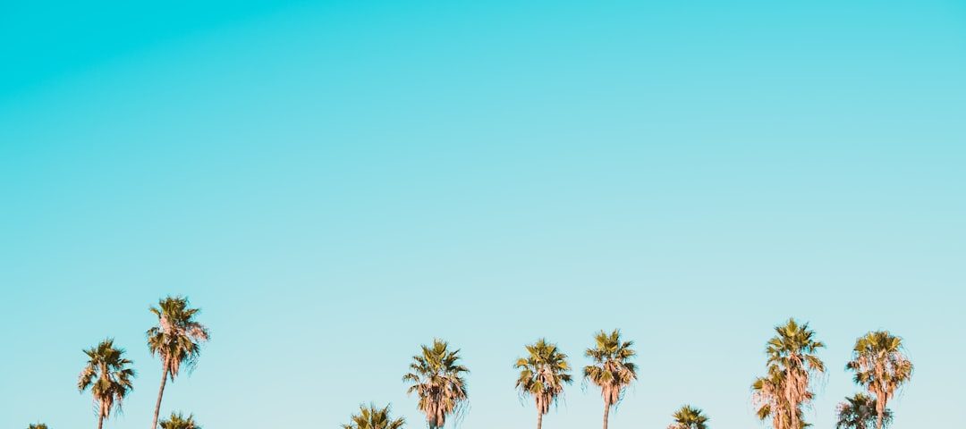 Photo Communicatiemodellen