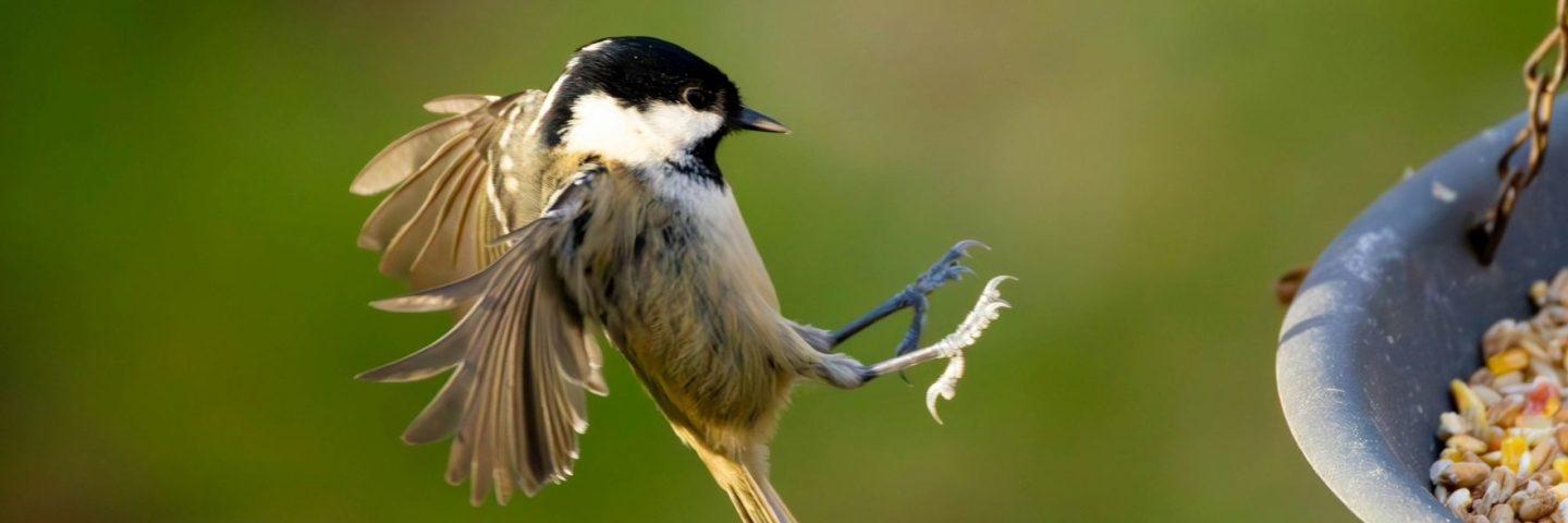 Wat is inbound marketing en hoe pas je het toe in B2B en B2C?