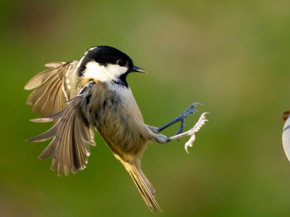 Wat is inbound marketing en hoe pas je het toe in B2B en B2C?