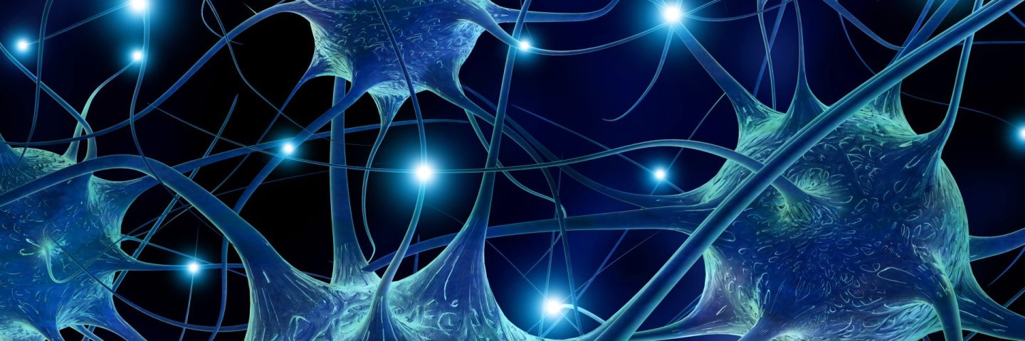 3d rendering illustration of neurons.