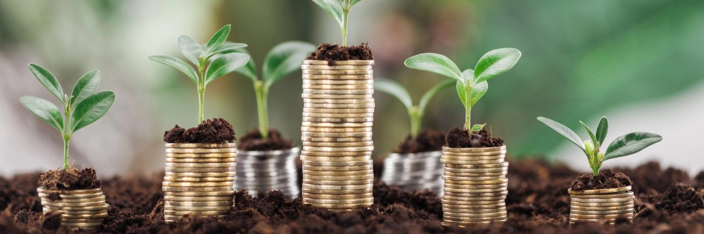 panoramic shot of golden coins with green leaves and soil, financial growth concept