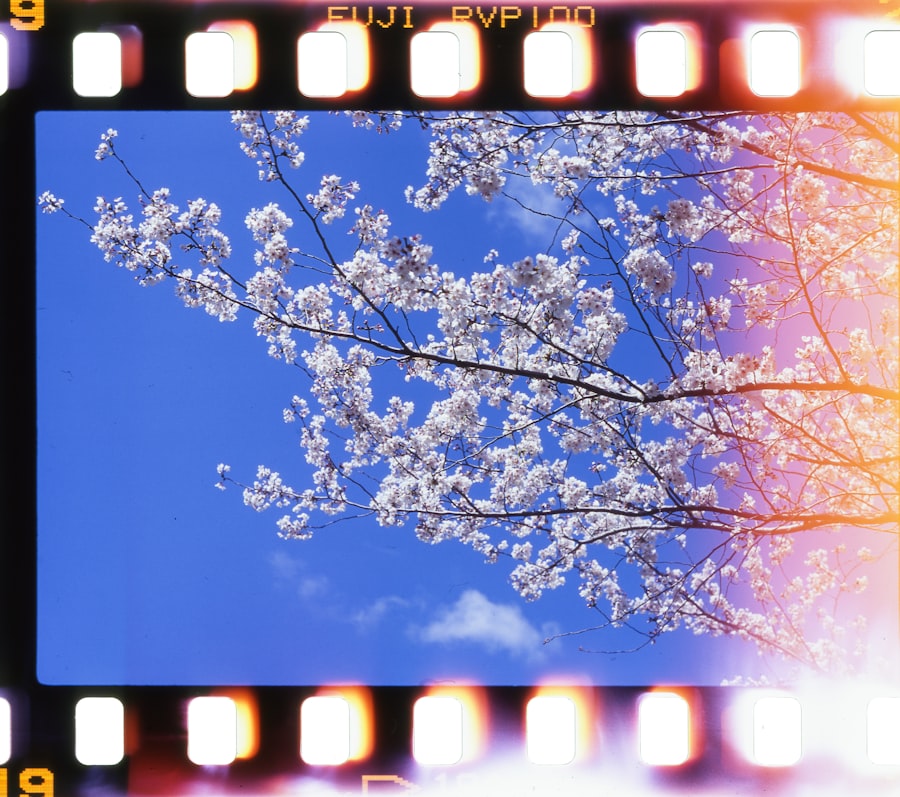 microfilm