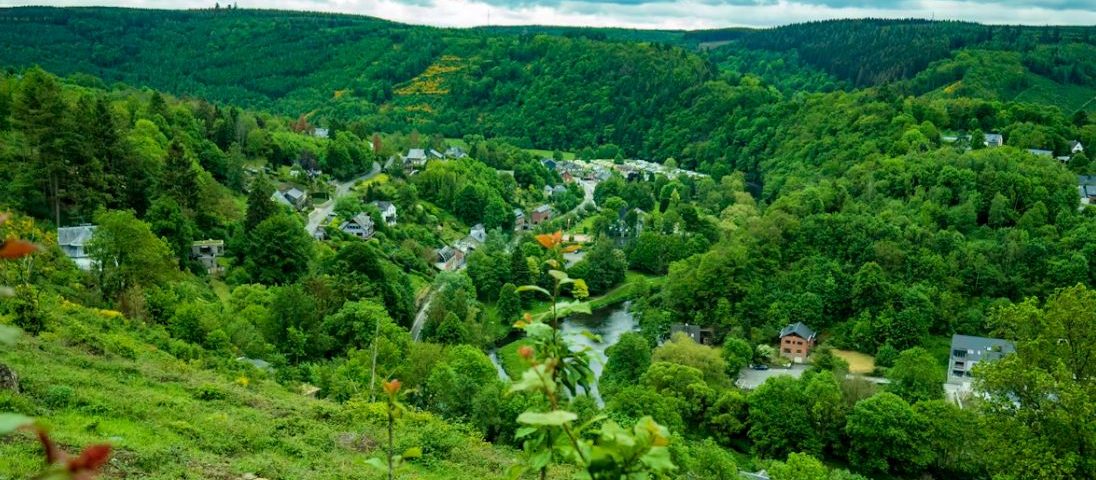 De leukste groepsactiviteiten in de Ardennen: van avontuur tot ontspanning